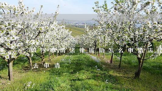 如何申请法律援助(怎么申请法律援助到哪里去申请)