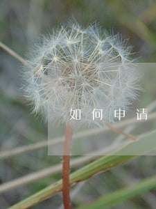 如何申请离婚诉讼