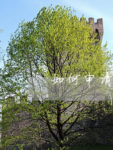 如何申请诉讼离婚