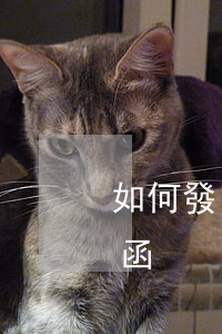如何發(fā)催款函，怎么發(fā)催款函