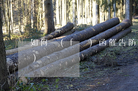 如何發(fā)函催告防水施工隊(duì)