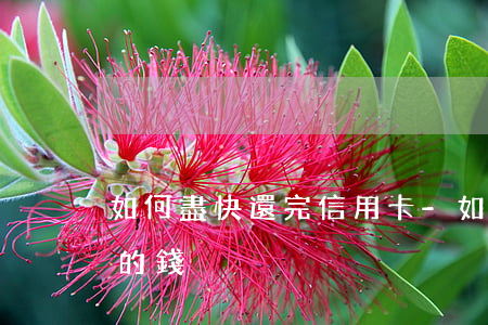 如何盡快還完信用卡-如何盡快還完信用卡的錢