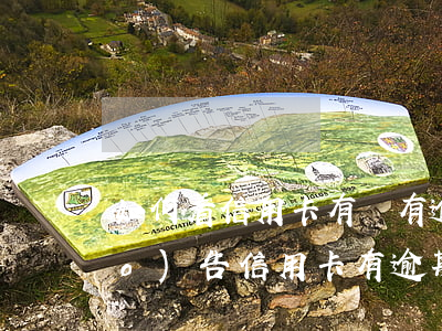 如何看信用卡有沒有逾期記錄（征信報(bào)告信用卡有逾期能看見嗎）