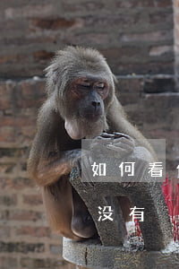 如何看信用卡有没有逾期(怎么看信用卡逾期没有)