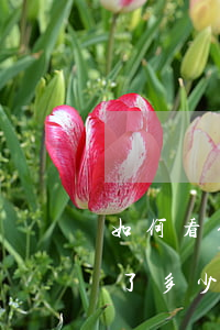 如何看信用卡欠多少錢(怎么看信用卡一共欠了多少錢)