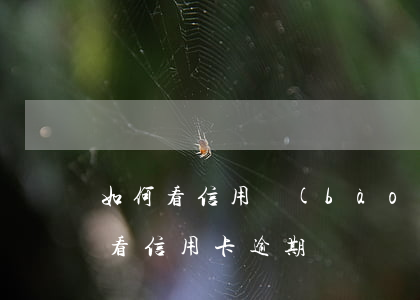 如何看信用報(bào)告信用卡逾期(怎樣看信用卡逾期)