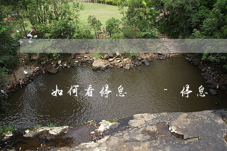 如何看停息掛賬-停息掛賬真假