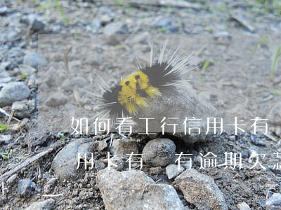 如何看工行信用卡有沒有逾期(如何看工行信用卡有沒有逾期欠款)