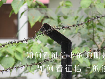 如何看征信上的逾期是什么時(shí)候-如何看征信上的逾期是什么時(shí)候的
