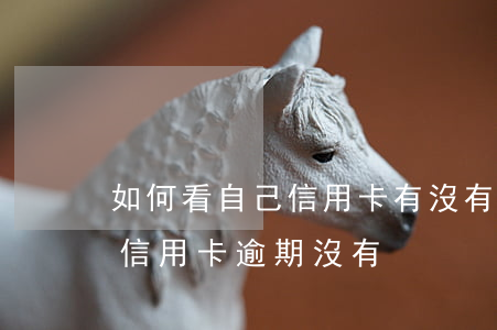 如何看自己信用卡有沒有逾期（怎么查看自己信用卡逾期沒有）