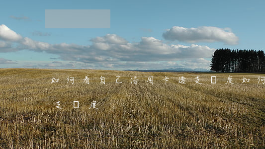 如何看自己信用卡透支額度(如何查信用卡透支額度)
