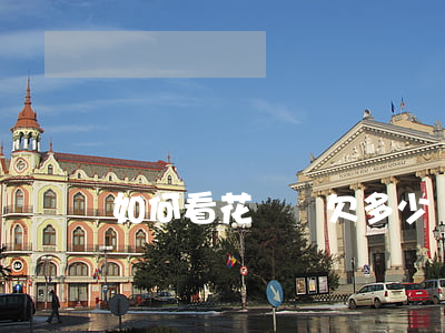 如何看花唄還欠多少錢(花唄還多少錢怎么看)