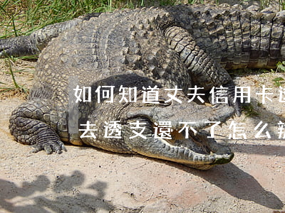 如何知道丈夫信用卡透支(老公拿我的信用卡去透支還不了怎么辦)