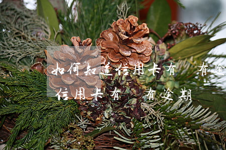 如何知道信用卡有沒有逾期記錄-如何知道信用卡有沒有逾期記錄呢
