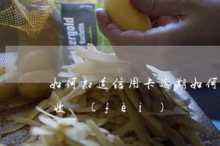 如何知道信用卡逾期 如何知道信用卡逾期多收費(fèi)