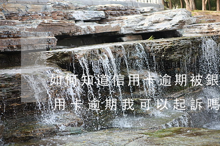 如何知道信用卡逾期被銀行起訴了(朋友用信用卡逾期,我可以起訴嗎)