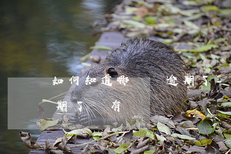 如何知道哪筆錢逾期了-如何知道哪筆錢逾期了沒有