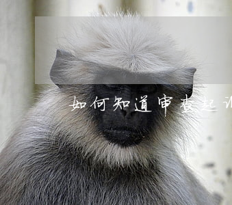 如何知道审查起诉(怎么查看起诉怎么样了)