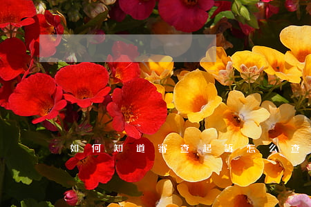 如何知道審查起訴(怎么查看起訴怎么樣了)