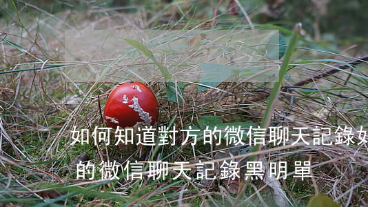 如何知道對方的微信聊天記錄，如何知道對方的微信聊天記錄黑明單