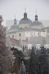 如何知道支付寶花唄支付逾期(如何知道支付寶花唄支付逾期)