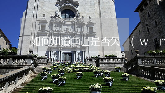 如何知道自己是否欠網(wǎng)貸