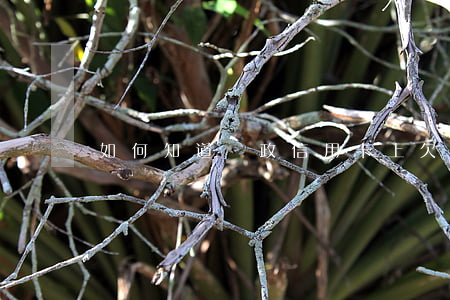 如何知道郵政信用卡上欠多少錢-