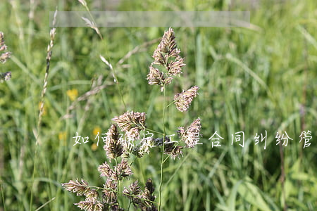 如何确定工程合同纠纷管辖