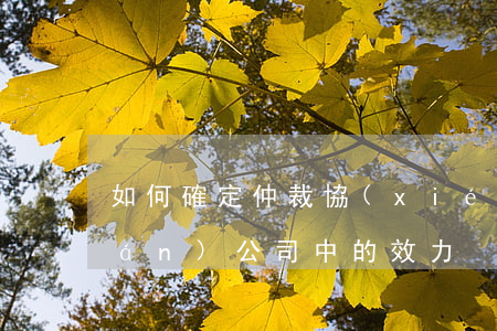 如何確定仲裁協(xié)議在關聯(lián)公司中的效力