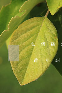 如何確定合同糾紛案件管轄權(quán)(合同糾紛法院管轄權(quán)怎么確定)