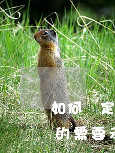如何確定合同糾紛的違約責任(違反合同約定的需要承擔什么責任)