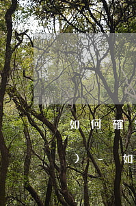 如何確定逾期付款利息的起算點(diǎn)-如何確定逾期付款利息的起算點(diǎn)和結(jié)算點(diǎn)