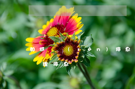 如何確認(rèn)停息掛賬辦理成功(怎樣辦理停息掛賬)