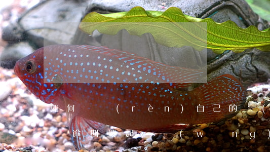 如何確認(rèn)自己的網(wǎng)貸逾期被起訴(網(wǎng)貸平臺(tái)逾期被起訴以后怎么辦?)