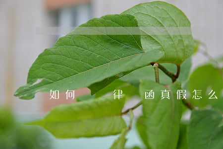 如何確認律師函真假(怎么鑒別律師函的真假)