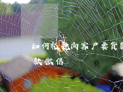 如何礼貌向客户要货款(如何礼貌向客户要货款微信)
