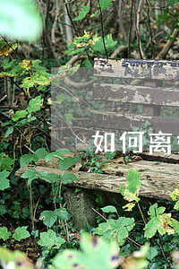 如何离婚起诉(离婚起诉流程)