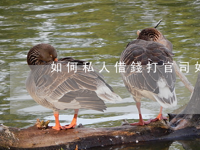 如何私人借錢打官司(如何私人借錢打官司)