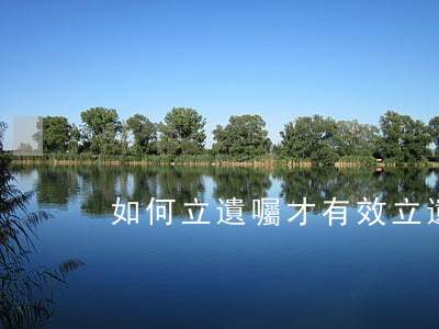 如何立遺囑才有效(立遺囑怎么寫)