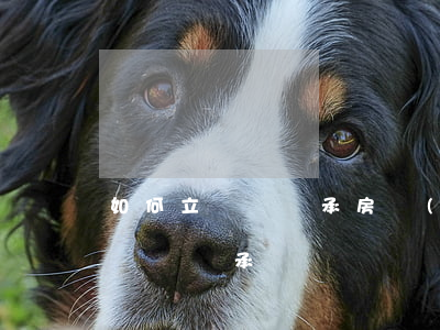 如何立遺囑繼承房產(chǎn)(如何辦理遺囑繼承)