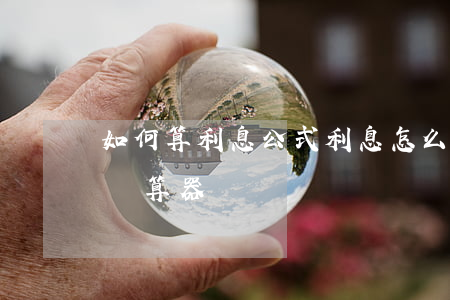 如何算利息公式(利息怎么算公式是什么利息計算器)