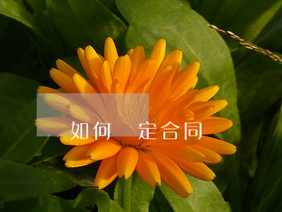 如何約定合同糾紛