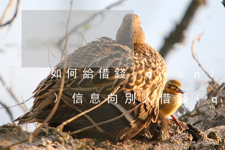 如何給借錢(qián)不還的人發(fā)信息(向別人借錢(qián),別人不回信息,自己應(yīng)該怎么說(shuō))
