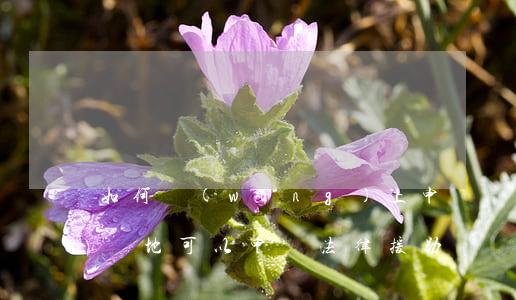 如何網(wǎng)上申請異地法律援助(在異地可以申請法律援助嗎)