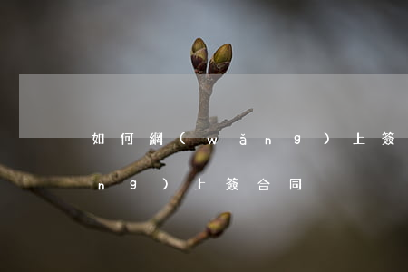 如何網(wǎng)上簽合同(如何網(wǎng)上簽合同)