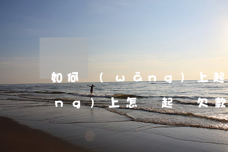 如何網(wǎng)上起訴欠款人，網(wǎng)上怎樣起訴欠款人