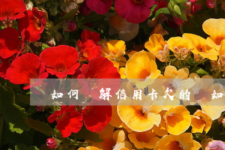 如何緩解信用卡欠的錢（如何緩解信用卡欠的錢）