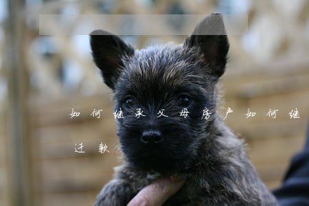 如何继承父母房产(如何继承父母房产地的拆迁款)