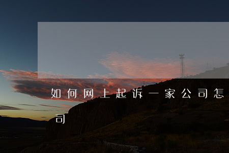 如何网上起诉一家公司，怎么网上起诉一家公司