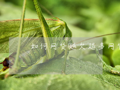 如何网贷越欠越多(网贷越还越多怎么回事)